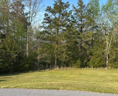 Located in the gated golf community of Stoney Point on the on The Links At Stoney Point in South Carolina - for sale on GolfHomes.com, golf home, golf lot