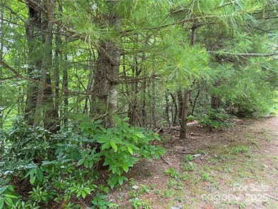 Great opportunity to build your dream home in prestigious on Kenmure Country Club in North Carolina - for sale on GolfHomes.com, golf home, golf lot