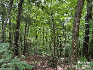 Great opportunity to build your dream home in prestigious on Kenmure Country Club in North Carolina - for sale on GolfHomes.com, golf home, golf lot