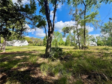 Check Out The Views From This Wonderful Marsh-Front Homesite (1 on Sapelo Hammock Golf Club in Georgia - for sale on GolfHomes.com, golf home, golf lot