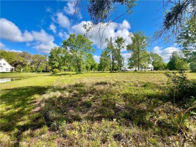 Check Out The Views From This Wonderful Marsh-Front Homesite (1 on Sapelo Hammock Golf Club in Georgia - for sale on GolfHomes.com, golf home, golf lot