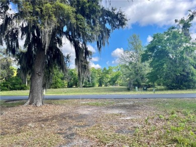 Check Out The Views From This Wonderful Marsh-Front Homesite (1 on Sapelo Hammock Golf Club in Georgia - for sale on GolfHomes.com, golf home, golf lot
