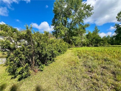 Check Out The Views From This Wonderful Marsh-Front Homesite (1 on Sapelo Hammock Golf Club in Georgia - for sale on GolfHomes.com, golf home, golf lot