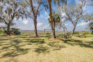 Check Out The Views From This Wonderful Marsh-Front Homesite (1 on Sapelo Hammock Golf Club in Georgia - for sale on GolfHomes.com, golf home, golf lot