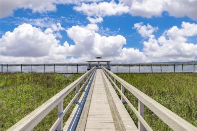 Check Out The Views From This Wonderful Marsh-Front Homesite (1 on Sapelo Hammock Golf Club in Georgia - for sale on GolfHomes.com, golf home, golf lot