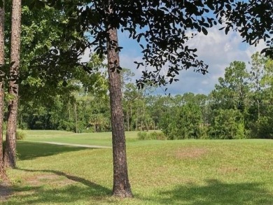 AGGRESSIVELY PRICED GOLF COURSE HOME IN CYPRESS KNOLL!
An on The Grand Club Cypress Course in Florida - for sale on GolfHomes.com, golf home, golf lot