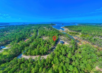 WATERVIEW lot in a secluded area of Rayburn Country. The lot is on Rayburn Country Club in Texas - for sale on GolfHomes.com, golf home, golf lot