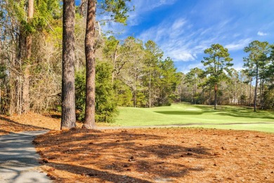 Gorgeous Custom Home in Santee overlooking the 16th green of on Santee National Golf Course in South Carolina - for sale on GolfHomes.com, golf home, golf lot