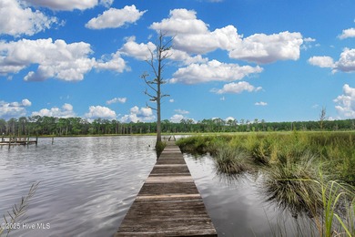 Waterfront homesite with extensive dock frontage in the gated on Harbour Point Golf Club in North Carolina - for sale on GolfHomes.com, golf home, golf lot