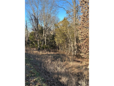 BUILD YOUR DREAM HOME! A great opportunity to purchase four on Bella Vista - Metfield Golf Complex and Country Club in Arkansas - for sale on GolfHomes.com, golf home, golf lot