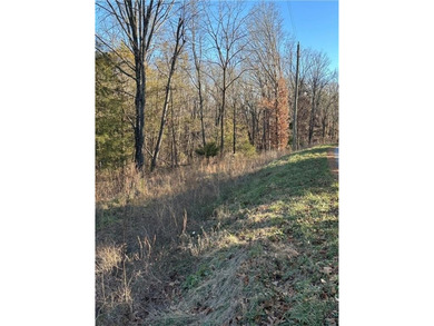 BUILD YOUR DREAM HOME! A great opportunity to purchase four on Bella Vista - Metfield Golf Complex and Country Club in Arkansas - for sale on GolfHomes.com, golf home, golf lot