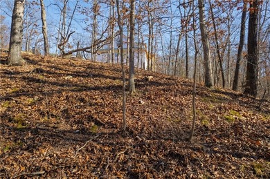 Build your future home on this 0.28-acre vacant lot located in on Bella Vista - Metfield Golf Complex and Country Club in Arkansas - for sale on GolfHomes.com, golf home, golf lot
