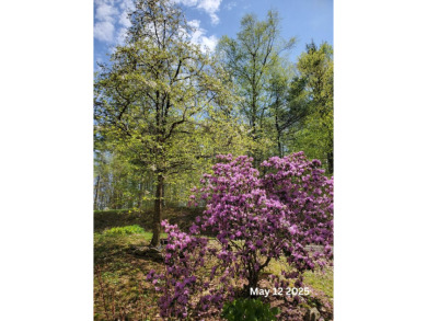Discover the perfect blend of comfort, privacy, and convenience on Martindale Country Club in Maine - for sale on GolfHomes.com, golf home, golf lot