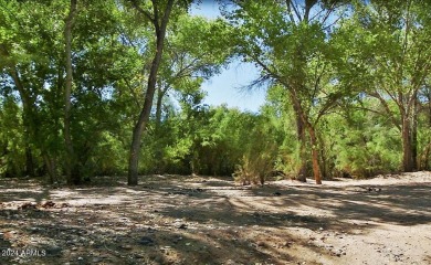 Wonderful 1 acre lot on a shared well. Elevated lot, no flood on Vista Verde Golf Course in Arizona - for sale on GolfHomes.com, golf home, golf lot