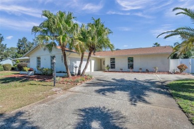 One or more photo(s) has been virtually staged. This charming on Countryside Country Club in Florida - for sale on GolfHomes.com, golf home, golf lot