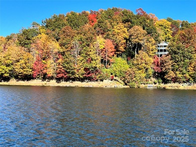This is the mountain home of your dreams! Discover true mountain on Connestee Falls Golf Club in North Carolina - for sale on GolfHomes.com, golf home, golf lot