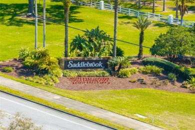 Under contract-accepting backup offers. One or more photo(s) has on Saddlebrook Golf and Country Club in Florida - for sale on GolfHomes.com, golf home, golf lot