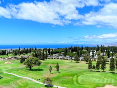 Hidden from the road by mature landscaping (terraced lava rock on Waikoloa Village Golf Club in Hawaii - for sale on GolfHomes.com, golf home, golf lot