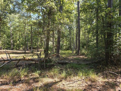Rivers Edge - Golf Course Lot in Shallotte, NC Discover the on Rivers Edge Golf Club in North Carolina - for sale on GolfHomes.com, golf home, golf lot