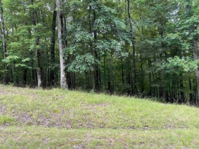 Great buildable lot on a quiet street in the gated community of on Diamondhead Golf and Country Club in Arkansas - for sale on GolfHomes.com, golf home, golf lot
