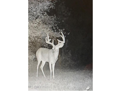 This 117+/- acre tract is an outdoorsman's dream. This is a on Forest Country Club in Mississippi - for sale on GolfHomes.com, golf home, golf lot