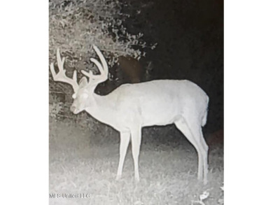 This 117+/- acre tract is an outdoorsman's dream. This is a on Forest Country Club in Mississippi - for sale on GolfHomes.com, golf home, golf lot