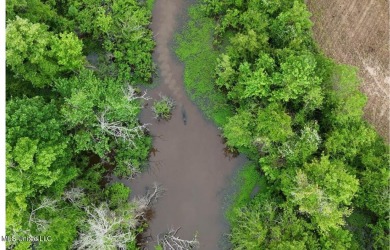 This 117+/- acre tract is an outdoorsman's dream. This is a on Forest Country Club in Mississippi - for sale on GolfHomes.com, golf home, golf lot