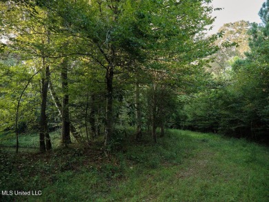This 117+/- acre tract is an outdoorsman's dream. This is a on Forest Country Club in Mississippi - for sale on GolfHomes.com, golf home, golf lot
