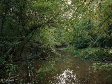 This 117+/- acre tract is an outdoorsman's dream. This is a on Forest Country Club in Mississippi - for sale on GolfHomes.com, golf home, golf lot