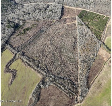 This 117+/- acre tract is an outdoorsman's dream. This is a on Forest Country Club in Mississippi - for sale on GolfHomes.com, golf home, golf lot