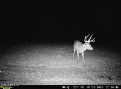 This 117+/- acre tract is an outdoorsman's dream. This is a on Forest Country Club in Mississippi - for sale on GolfHomes.com, golf home, golf lot