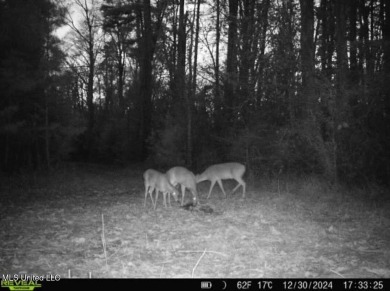 This 117+/- acre tract is an outdoorsman's dream. This is a on Forest Country Club in Mississippi - for sale on GolfHomes.com, golf home, golf lot