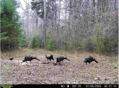 This 117+- acre tract is an outdoorsman's dream. This is a on Forest Country Club in Mississippi - for sale on GolfHomes.com, golf home, golf lot
