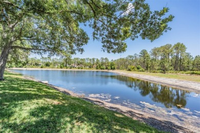 Hunter's Green.....pletely renovated and maintenance free Villa on Hunters Green Country Club in Florida - for sale on GolfHomes.com, golf home, golf lot