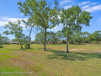 Located in Glen Lakes, this 1996 Lindhorst built Custom on Glen Lakes Country Club in Florida - for sale on GolfHomes.com, golf home, golf lot