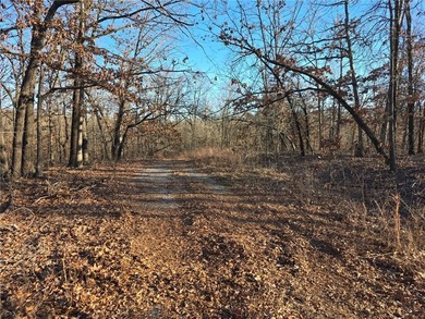 This property offers a secluded, tranquil feel while still being on Bella Vista - Metfield Golf Complex and Country Club in Arkansas - for sale on GolfHomes.com, golf home, golf lot