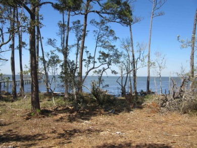 BAY FRONT REDUCED PRICE - PROPERTY PARTIALLY CLEARED WITH SURVEY on The Golf Club of the Wharf in Alabama - for sale on GolfHomes.com, golf home, golf lot