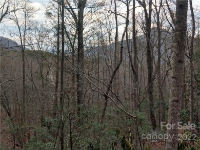 AWESOME MOUNTAIN VIEWS from these combined lots totaling 1.14 on Rumbling Bald Resort on Lake Lure in North Carolina - for sale on GolfHomes.com, golf home, golf lot