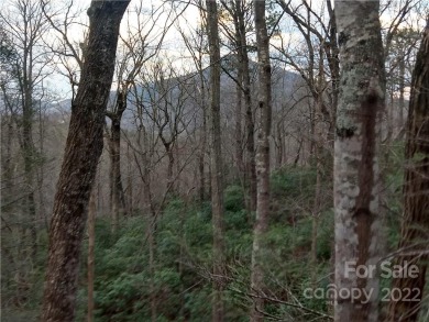 AWESOME MOUNTAIN VIEWS from these combined lots totaling 1.14 on Rumbling Bald Resort on Lake Lure in North Carolina - for sale on GolfHomes.com, golf home, golf lot
