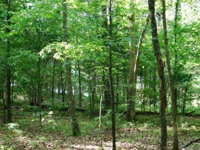 Rare find! Arkansas waterfront land for sale is located on a on Cherokee Village South Course in Arkansas - for sale on GolfHomes.com, golf home, golf lot