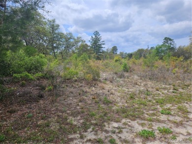 Here is a beautiful building lot 0.60 of an acre in Citrus on Pine Ridge Community Golf and Country Club in Florida - for sale on GolfHomes.com, golf home, golf lot