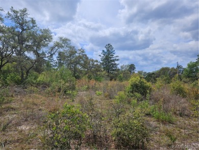 Here is a beautiful building lot 0.60 of an acre in Citrus on Pine Ridge Community Golf and Country Club in Florida - for sale on GolfHomes.com, golf home, golf lot