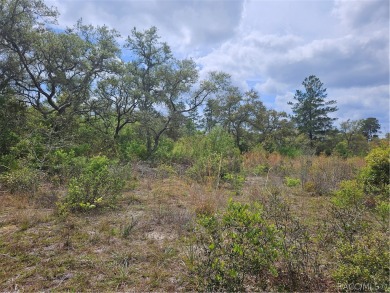 Here is a beautiful building lot 0.60 of an acre in Citrus on Pine Ridge Community Golf and Country Club in Florida - for sale on GolfHomes.com, golf home, golf lot