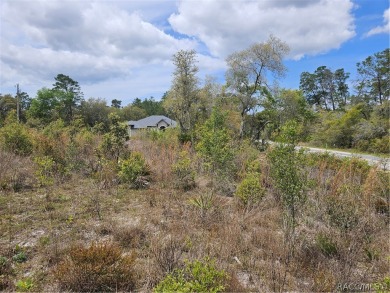 Here is a beautiful building lot 0.60 of an acre in Citrus on Pine Ridge Community Golf and Country Club in Florida - for sale on GolfHomes.com, golf home, golf lot