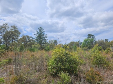 Here is a beautiful building lot 0.60 of an acre in Citrus on Pine Ridge Community Golf and Country Club in Florida - for sale on GolfHomes.com, golf home, golf lot