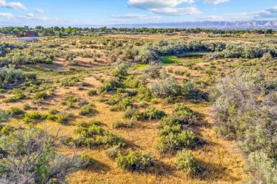 58.25 acres  on the Redlands  poised for development. With on Tiara Rado Golf Course in Colorado - for sale on GolfHomes.com, golf home, golf lot