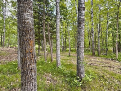 Discover Your Slice of the Northwoods Paradise! This lot offers on Wilderness Trail Golf and Village in Minnesota - for sale on GolfHomes.com, golf home, golf lot