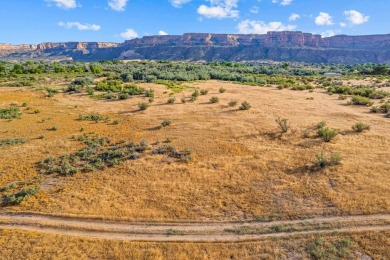 58.25 acres  on the Redlands  poised for development. With on Tiara Rado Golf Course in Colorado - for sale on GolfHomes.com, golf home, golf lot