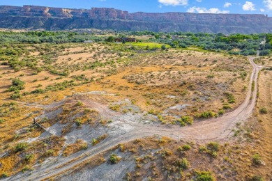 58.25 acres  on the Redlands  poised for development. With on Tiara Rado Golf Course in Colorado - for sale on GolfHomes.com, golf home, golf lot