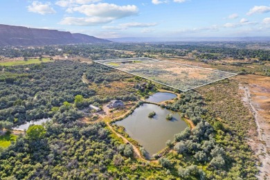 58.25 acres  on the Redlands  poised for development. With on Tiara Rado Golf Course in Colorado - for sale on GolfHomes.com, golf home, golf lot